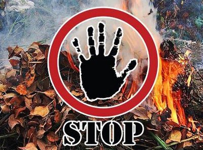 В Радужном с 26 мая и до особого распоряжения введен особый противопожарный режим. В Радужном с 26 мая и до особого распоряжения введен особый противопожарный режим.
